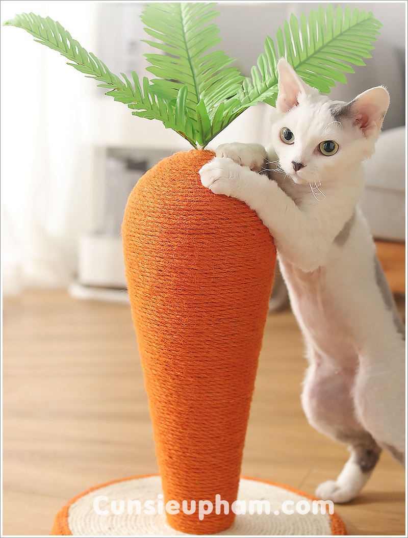 Đồ chơi cây cà rốt cào móng cho mèo