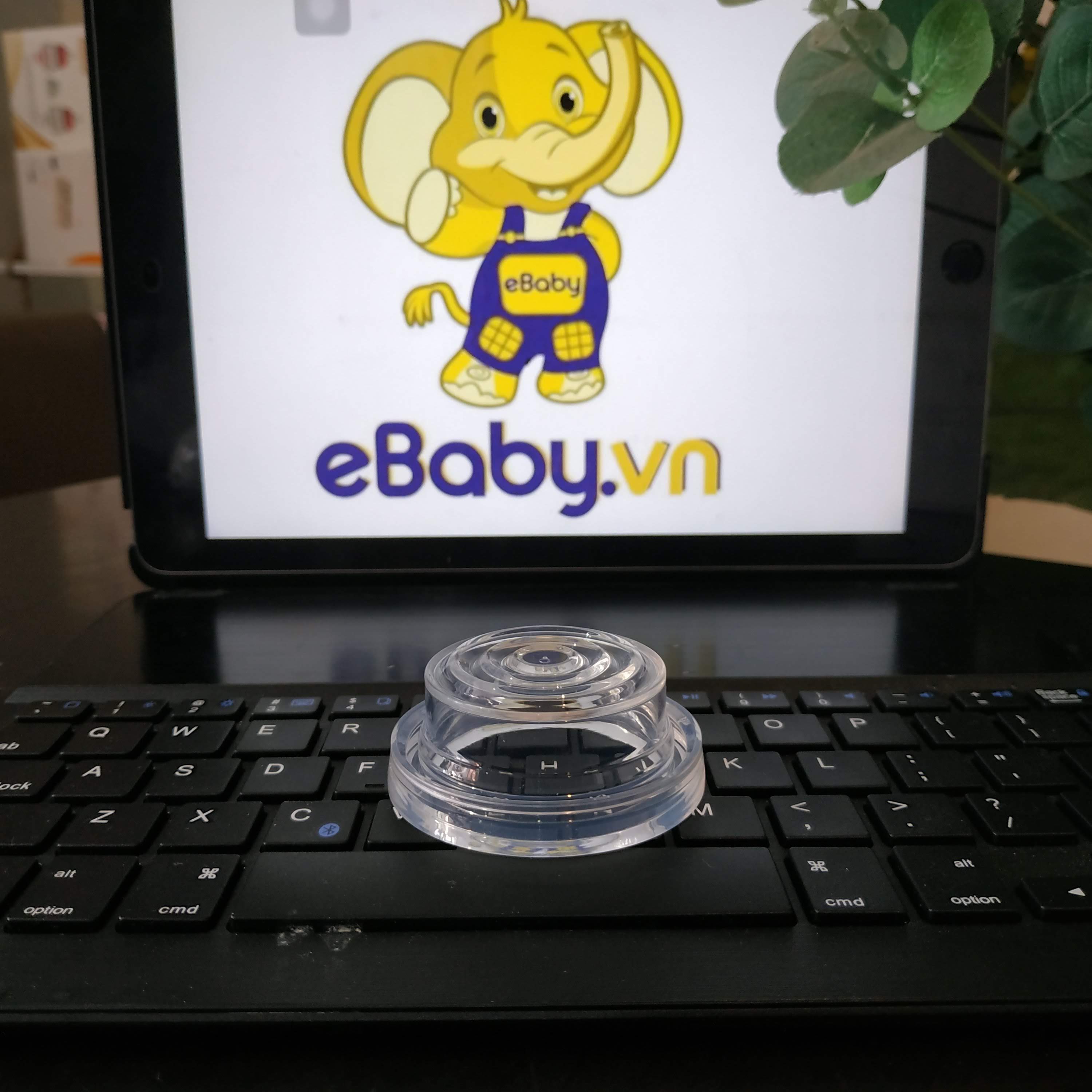 Màn hút máy hút sữa Avent hoa tuyết