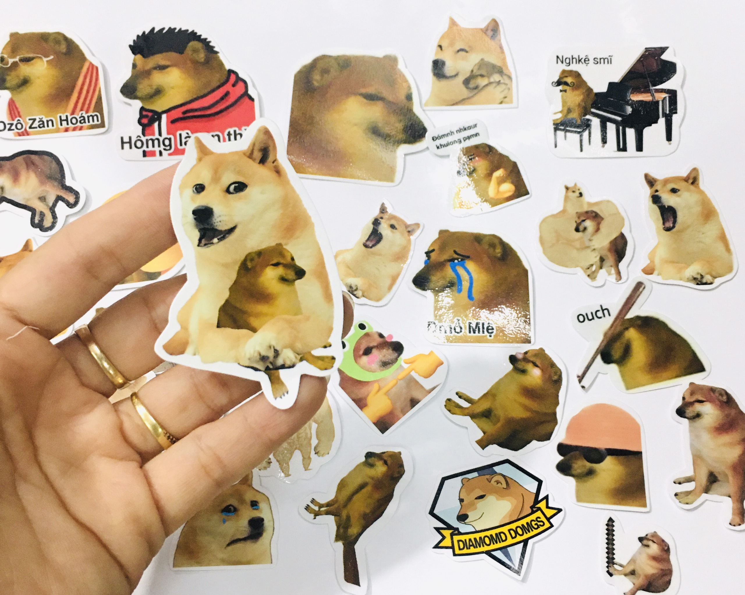 sticker set 20 đến 100 ảnh Cheems