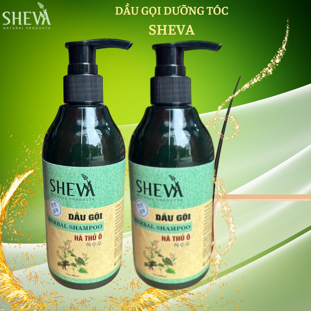 (Combo 2 Chai) Dầu gội Hà Thủ Ô Sheva 300ml giảm rụng tóc, giảm bạc tóc, kích thích mọc tóc, Dầu gội thảo dược (Dòng hiện đại tiện lợi) 100% tự nhiên kích thích mọc tóc, Tóc Khỏe, chống rụng tóc