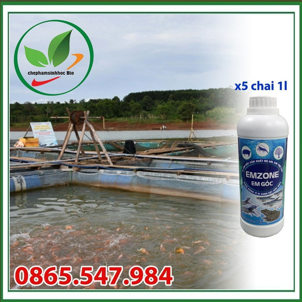 Chế phẩm sinh học EM gốc - Emzone. Can 5l
