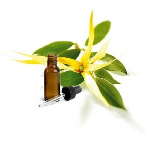 Tinh dầu ngọc lan tây nguyên chất  20ml