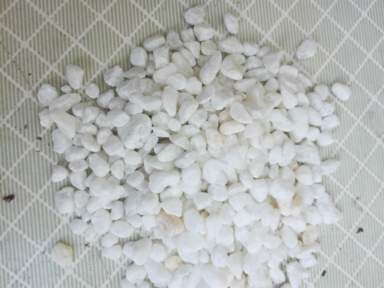 Combo 5kg sỏi trắng viên nhỏ (0.5-1 cm)