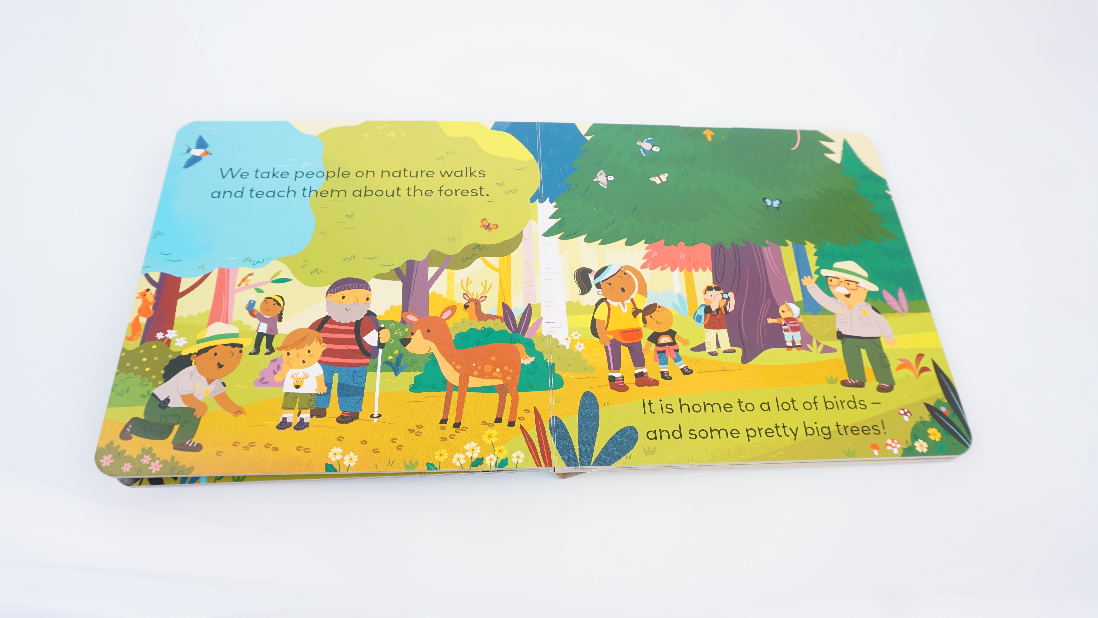 Little World: In the Forest : A push-and-pull adventure