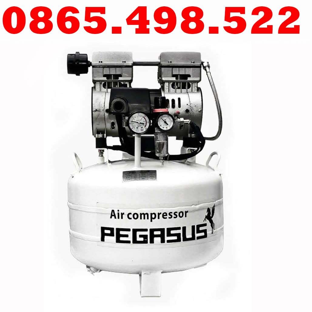 Máy nén khí không dầu pegasus 0.75hp 40l tm-of550-40l