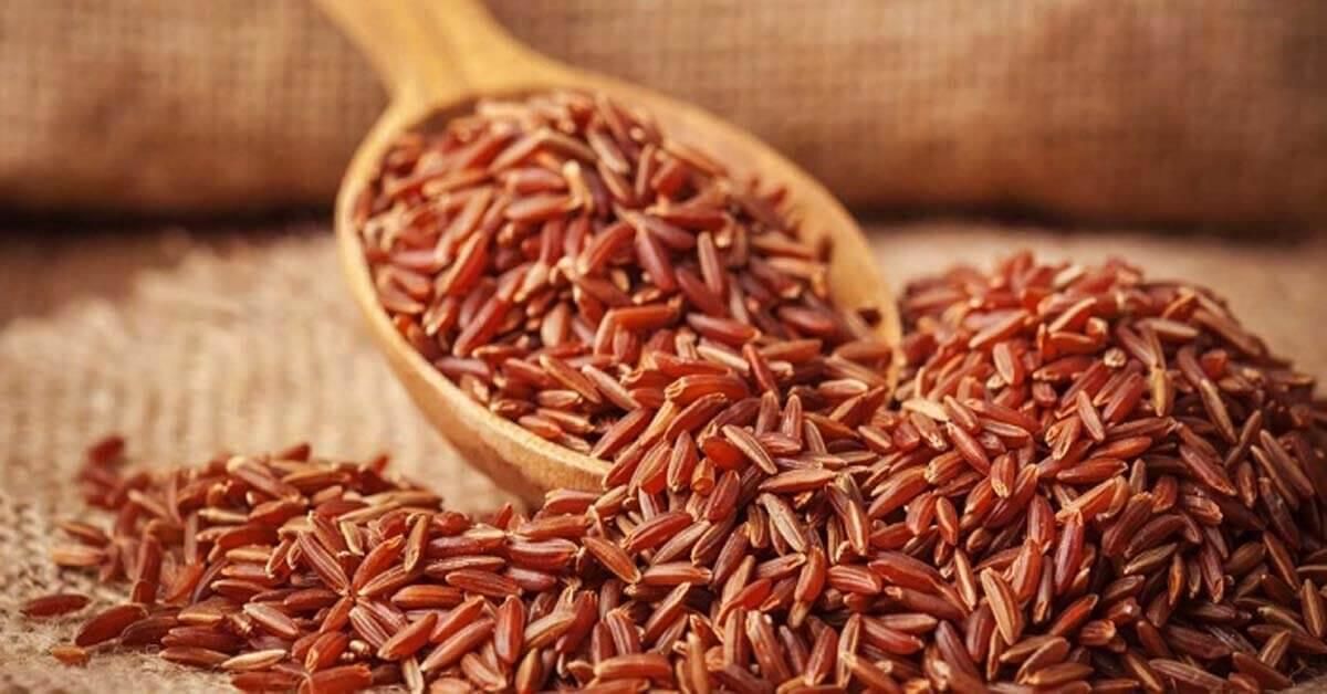 COMBO NGŨ CỐC YẾN MẠCH + GẠO LỨT