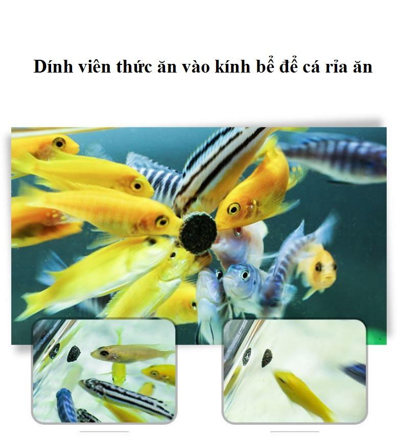 Cám viên Aquafin thức ăn dính thành bể cá (hộp 100ml)