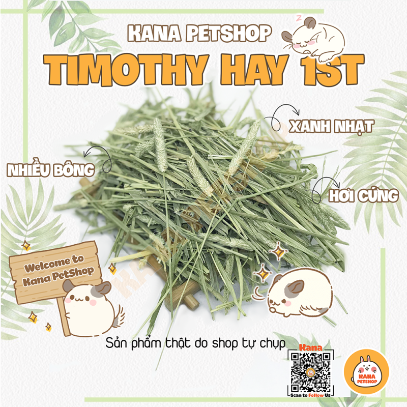 [HCM]Cỏ Timothy Loại 1 🐹FREESHIP🐹 Cỏ Timothy Loại 1 1st Cut Bao Xanh Thơm Mềm Siêu Ngon Dành Cho Thỏ Và Bọ.