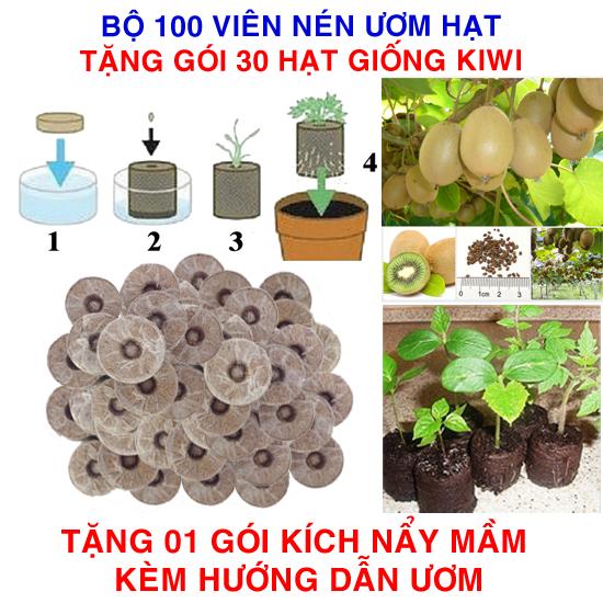 Bộ 100 viên nén ươm hạt (tặng 30 Hạt giống Kiwi xanh + Kích thích nẩy mầm, Hướng dẫn)