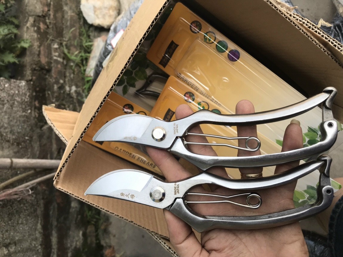 Kéo cắt cành thép trắng - hàng bãi