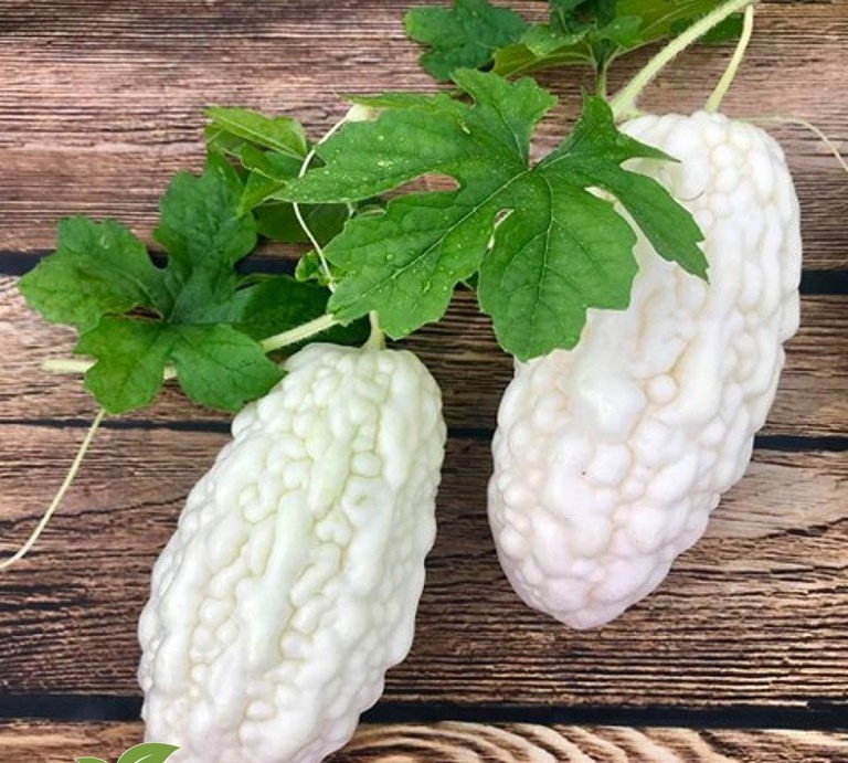 MA248 GÓI 5 Hạt Giống Mướp Đắng Trắng Đài Loan- 05 hạt