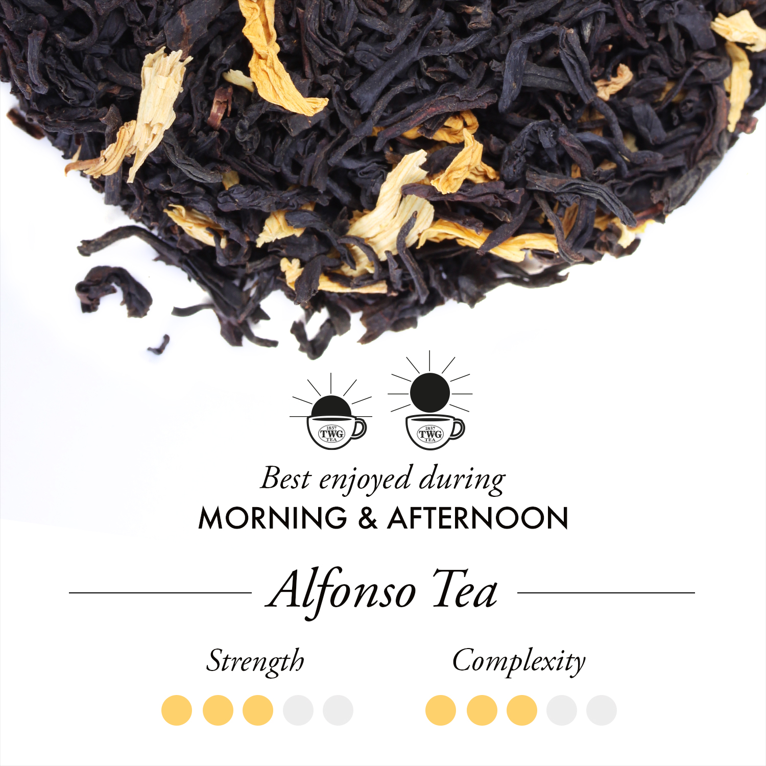 Trà TWG Tea - Alfonso Tea (2.5g x 15 túi lọc) | Trà Đen