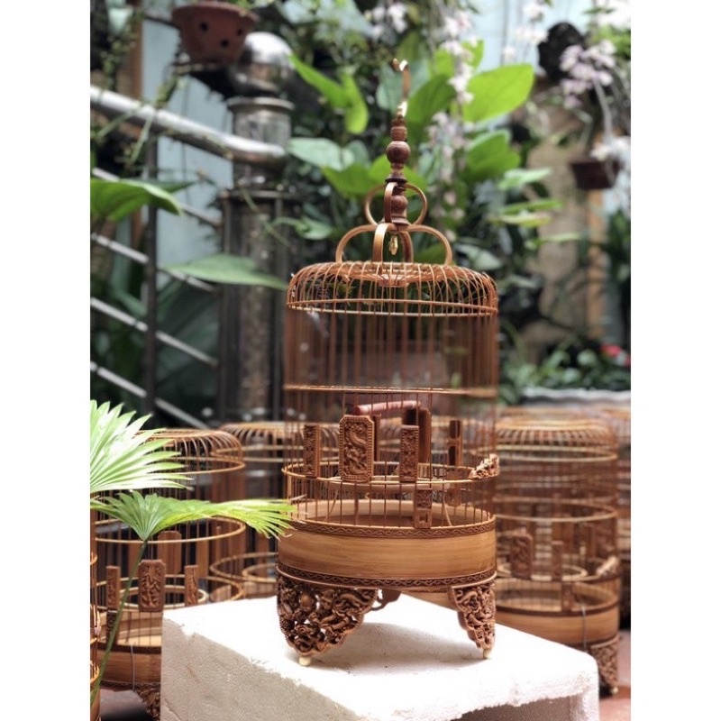 Lồng khuyên đục chân full phụ kiện