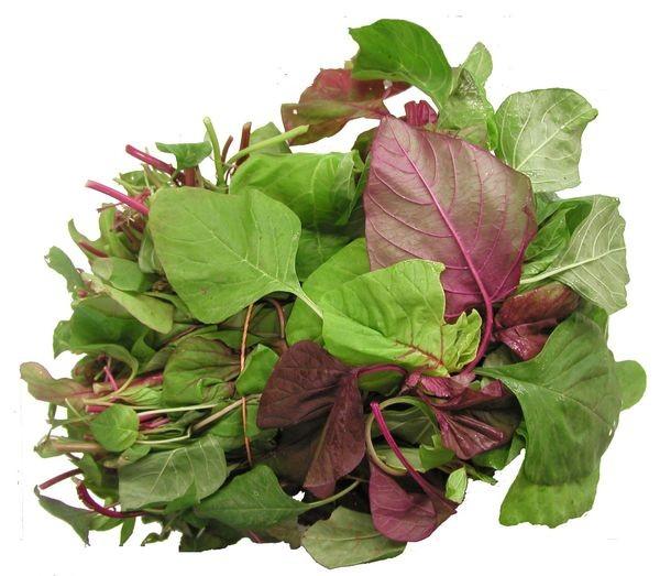 COMBO 2 gói hạt giống rau dền khoang