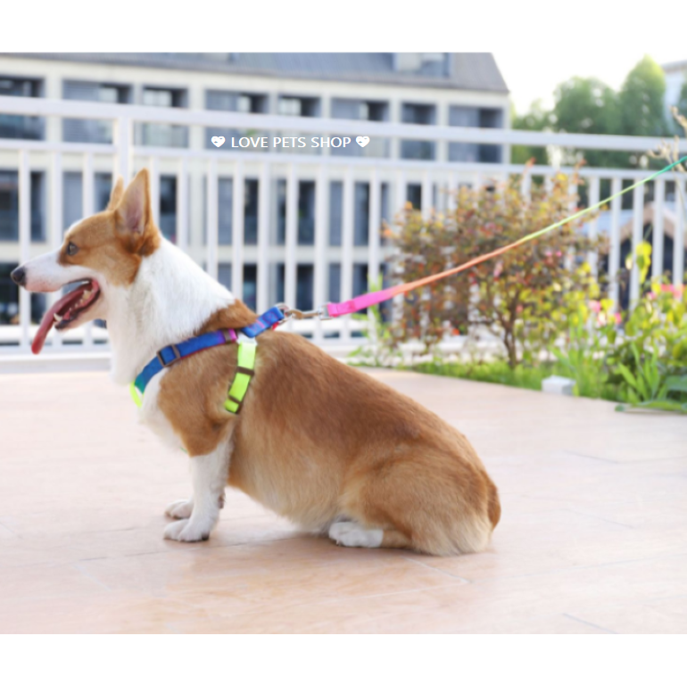 Bộ dây dắt bản dẹp kèm yếm và vòng cổ cho Chó Mèo nhỏ dưới 4kg - Love Pets Shop