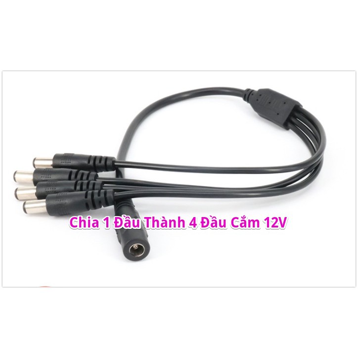 Jack Chia 1 Đầu DC Thành 4 Đầu