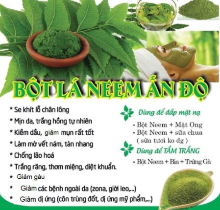 Bột lá neem nguyên chất Organic