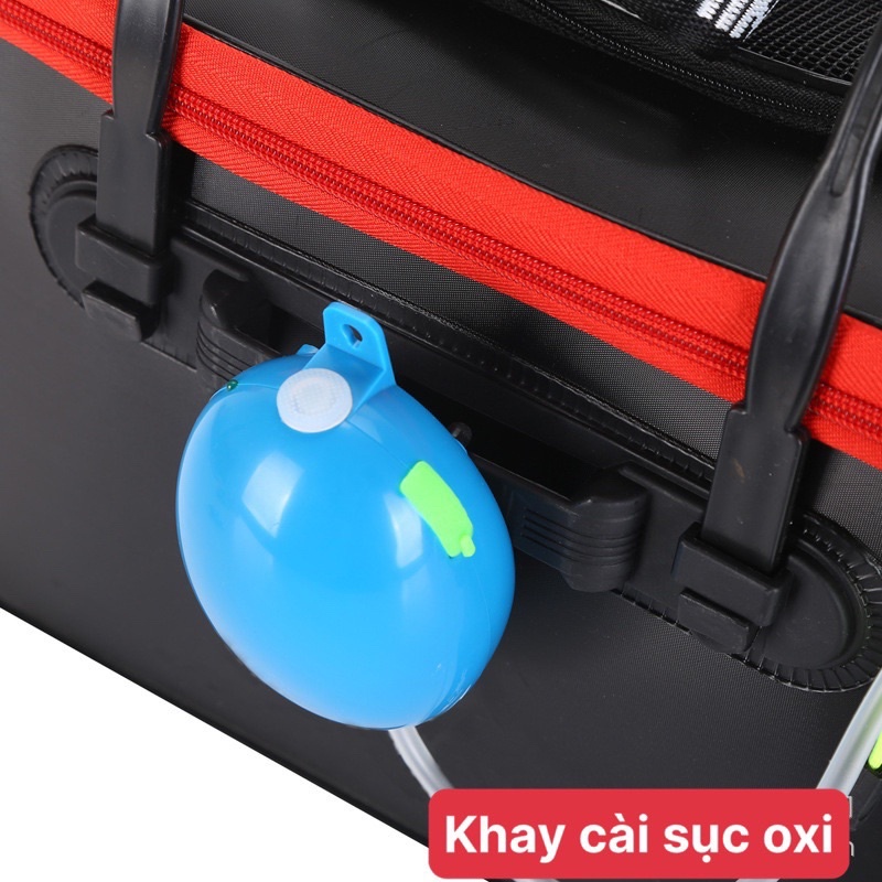 Túi, thùng đựng cá đi câu đa năng gấp gọn siêu bền.