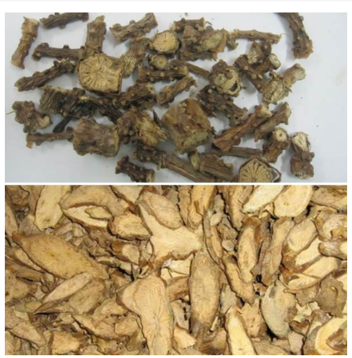 Cây thần thông khô 500gr ( dây cóc, dây kí ninh)
