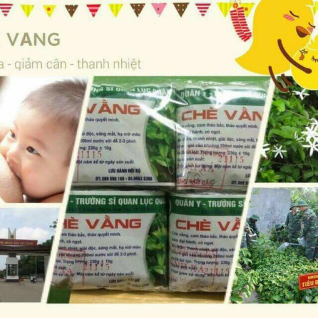 1 bịch Chè Vằng túi lọc quân y