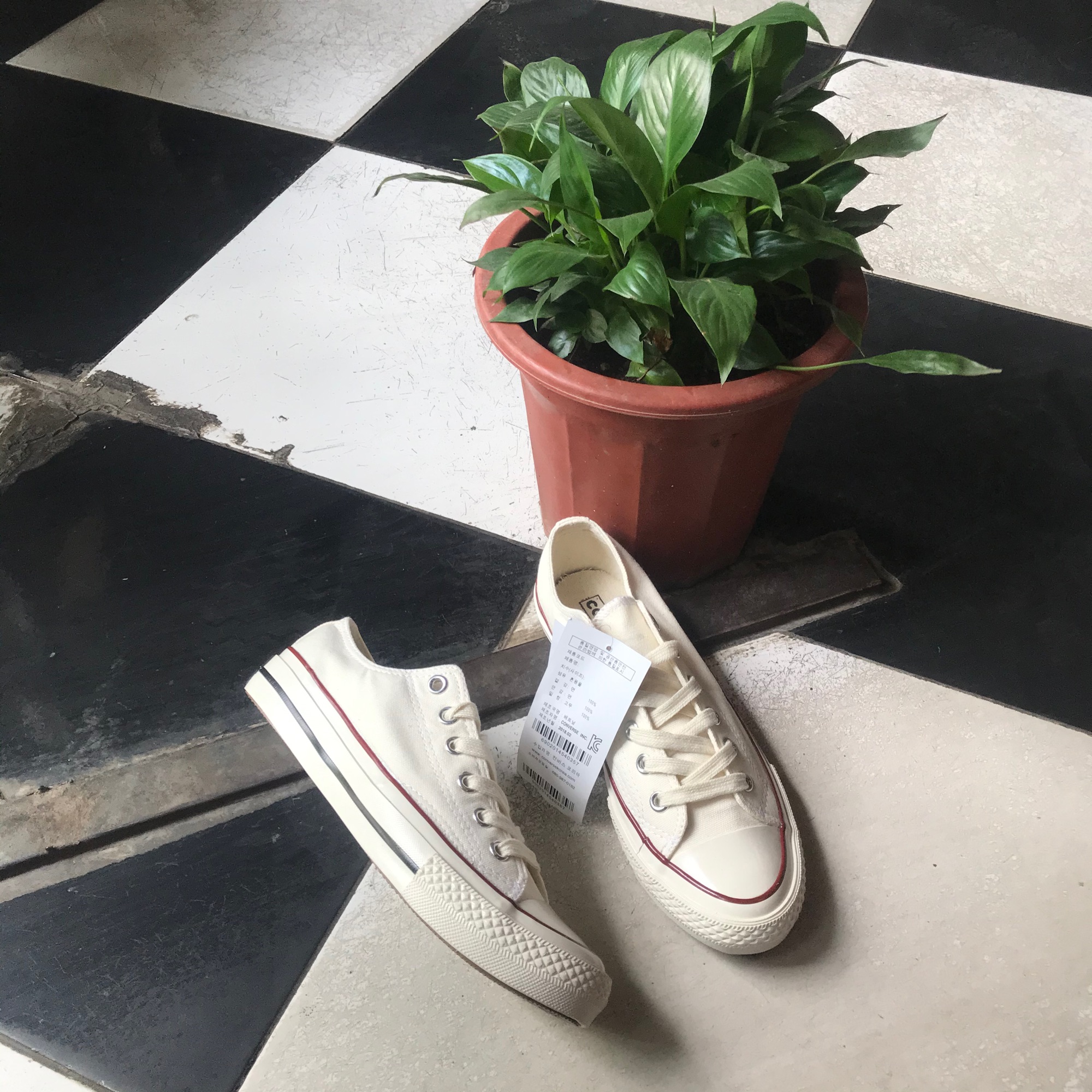 GIÀY CONVERSE 1970s TRẮNG THẤP CỔ (Mũi bóng, lót xanh)