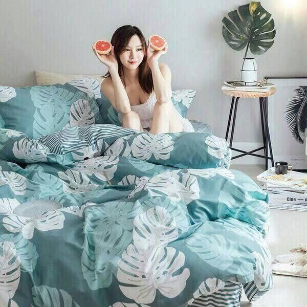 BỘ CHĂN GA GỐI HÀN QUỐC 180X200