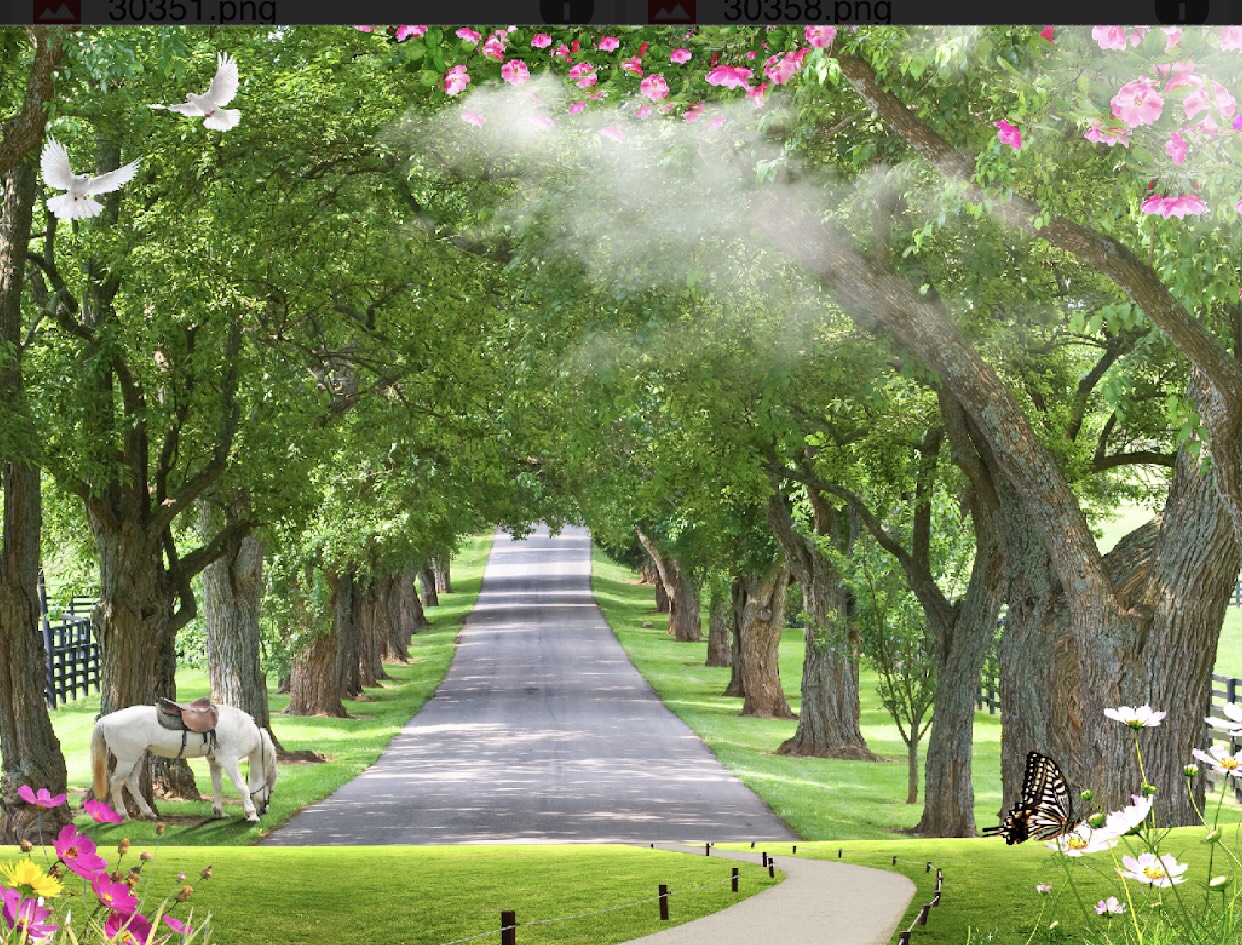 Tranh dán tường 3D Phòng Khách/Con Đường Màu Xanh , 151(Đã tích hợp sẵn keo)