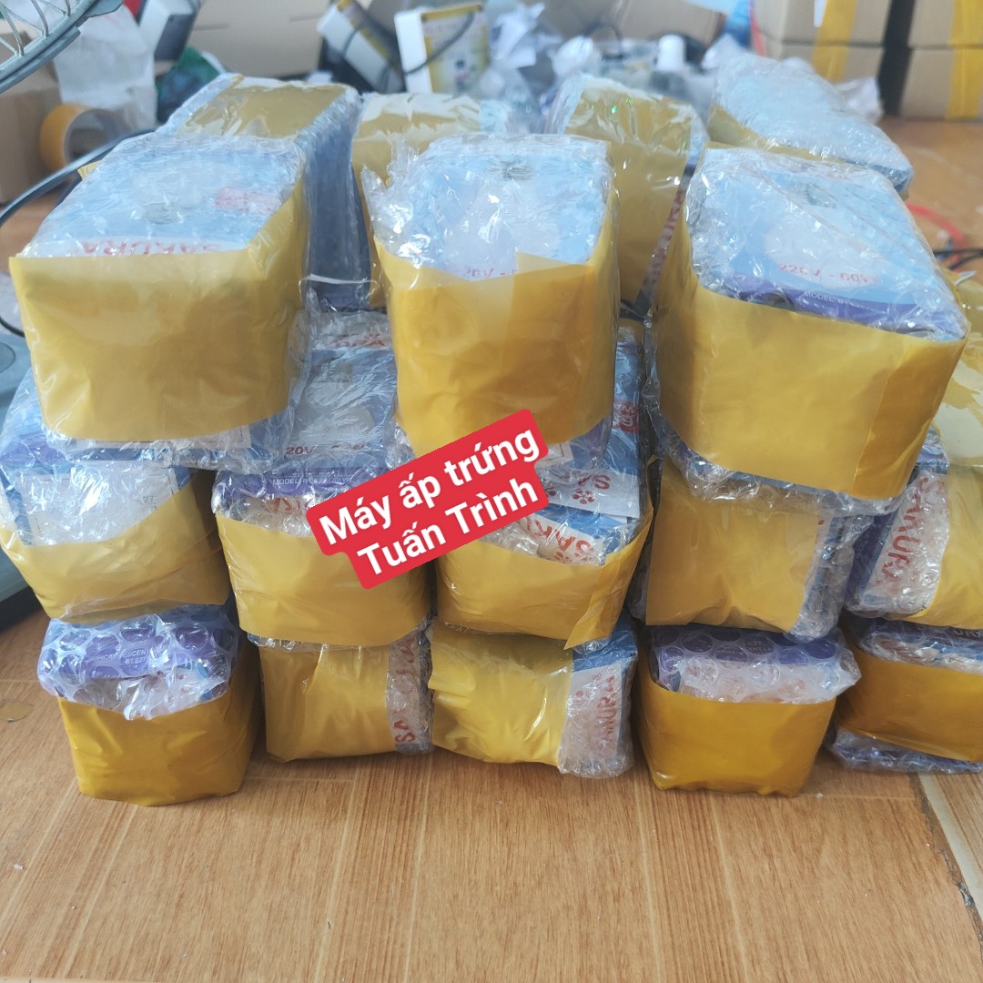 Bóng đèn sợi đốt 60W