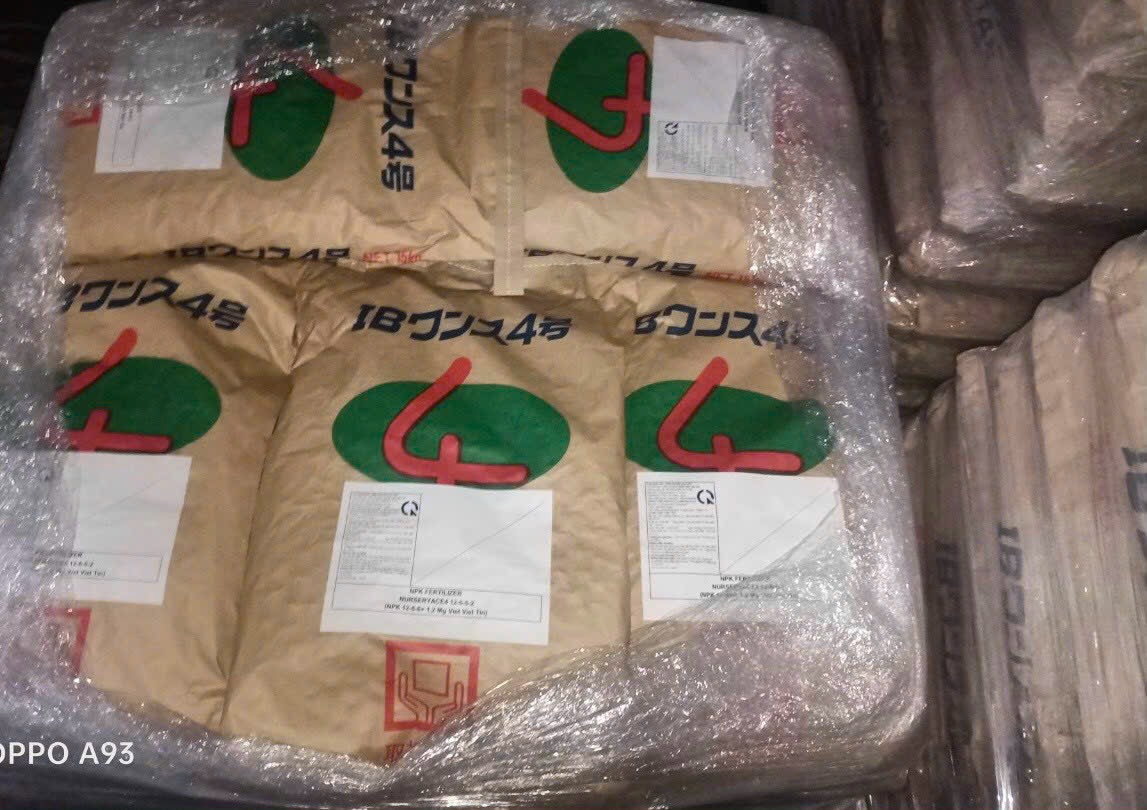 Phân tan chậm Hạt bàng Nhật Bản 12-6-6