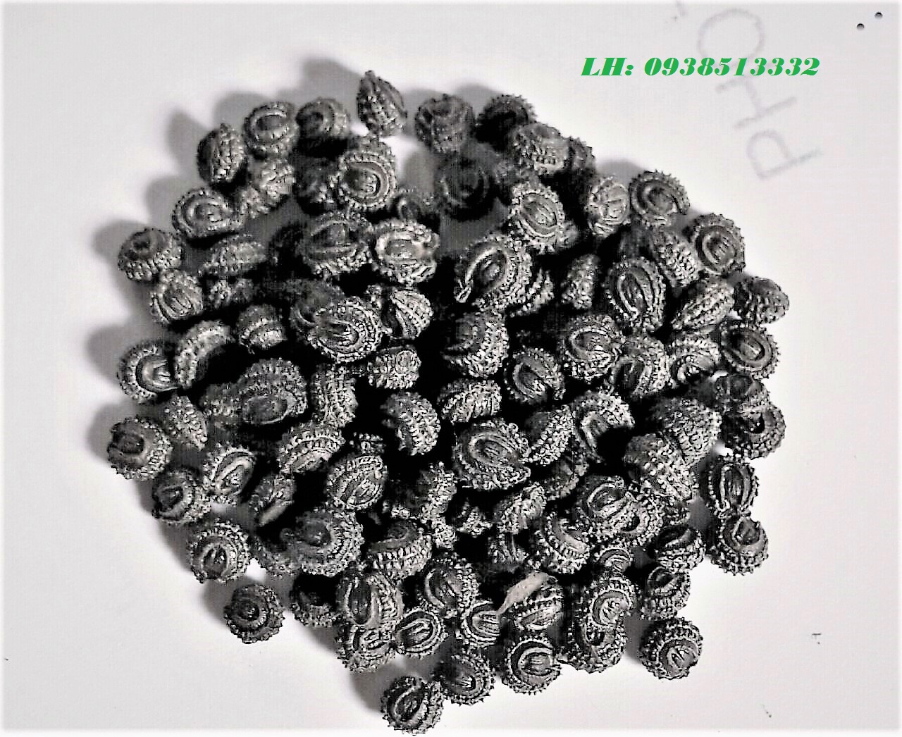 HẠT GIỐNG LÁ SƯƠNG SÂM LÔNG 200 HẠT