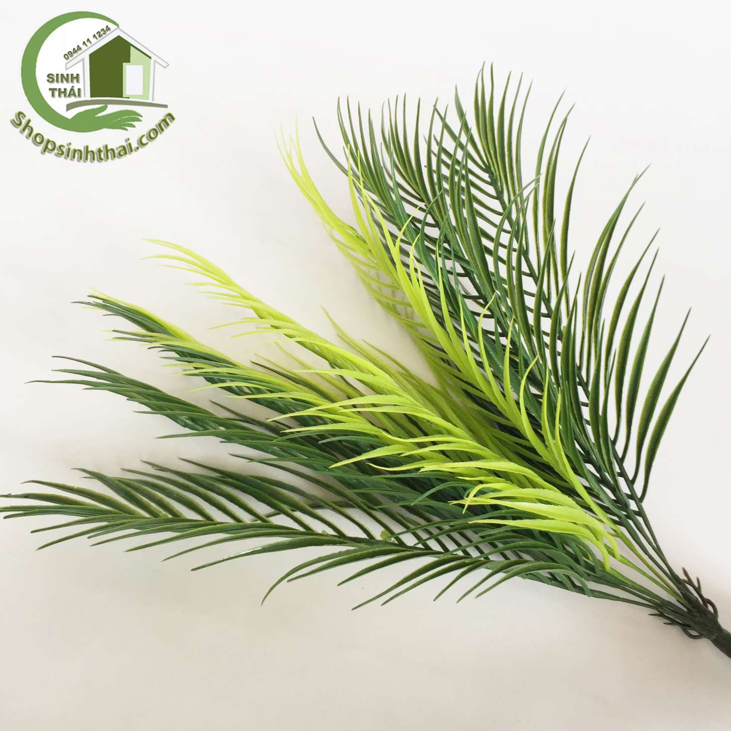 [HCM]Bụi cây dừa - bụi lá dừa giả cao 50cm