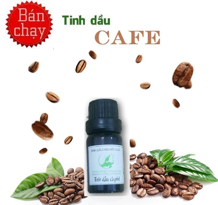 Tinh dầu Cà Phê 10ml Thảo Mộc Xanh