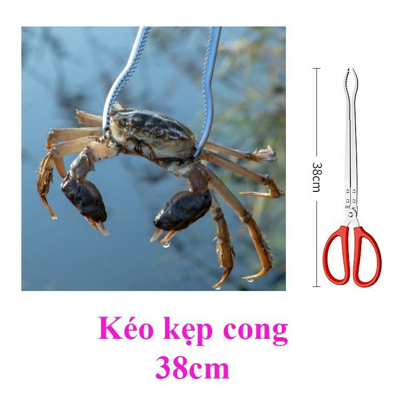 Kẹp bắt lươn cua cá hải sản