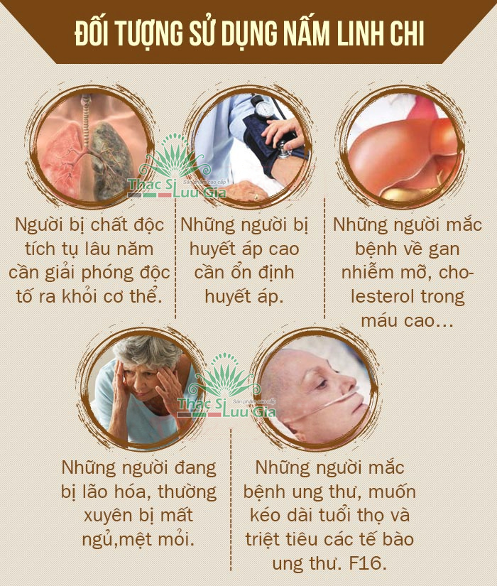 Nấm linh chi đỏ - Hộp 500g