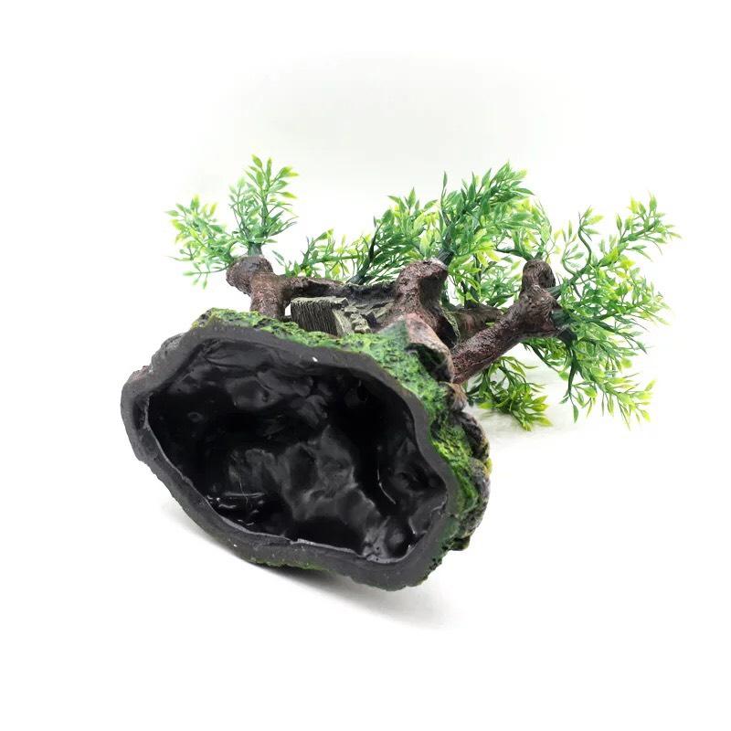 Trang trí thuỷ sinh , hồ cá “nhà cây”