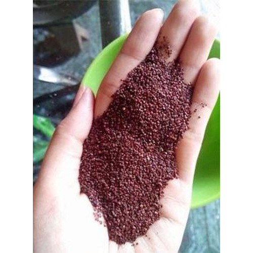 700g ngũ hoa hạt đình lịch( thiên niên tử)