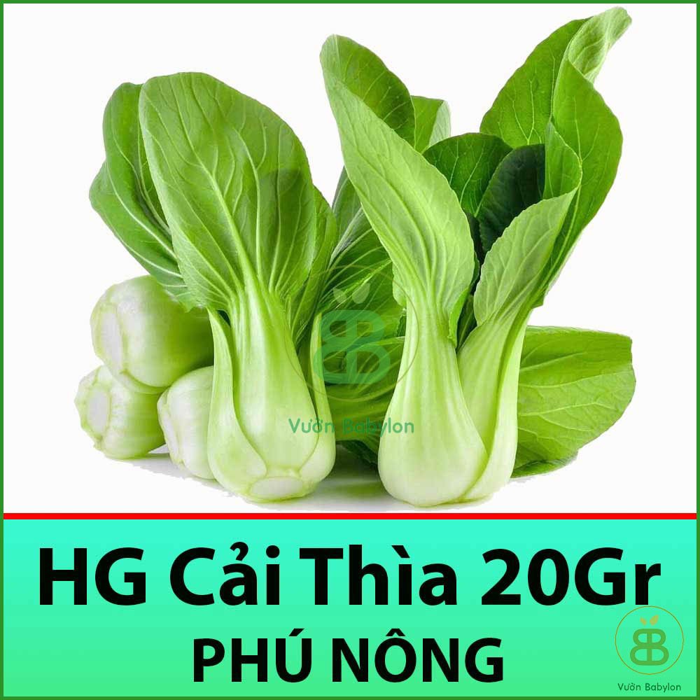 Hạt Giống Cải Thìa 20Gr Bẹ Lớn, Ngọt