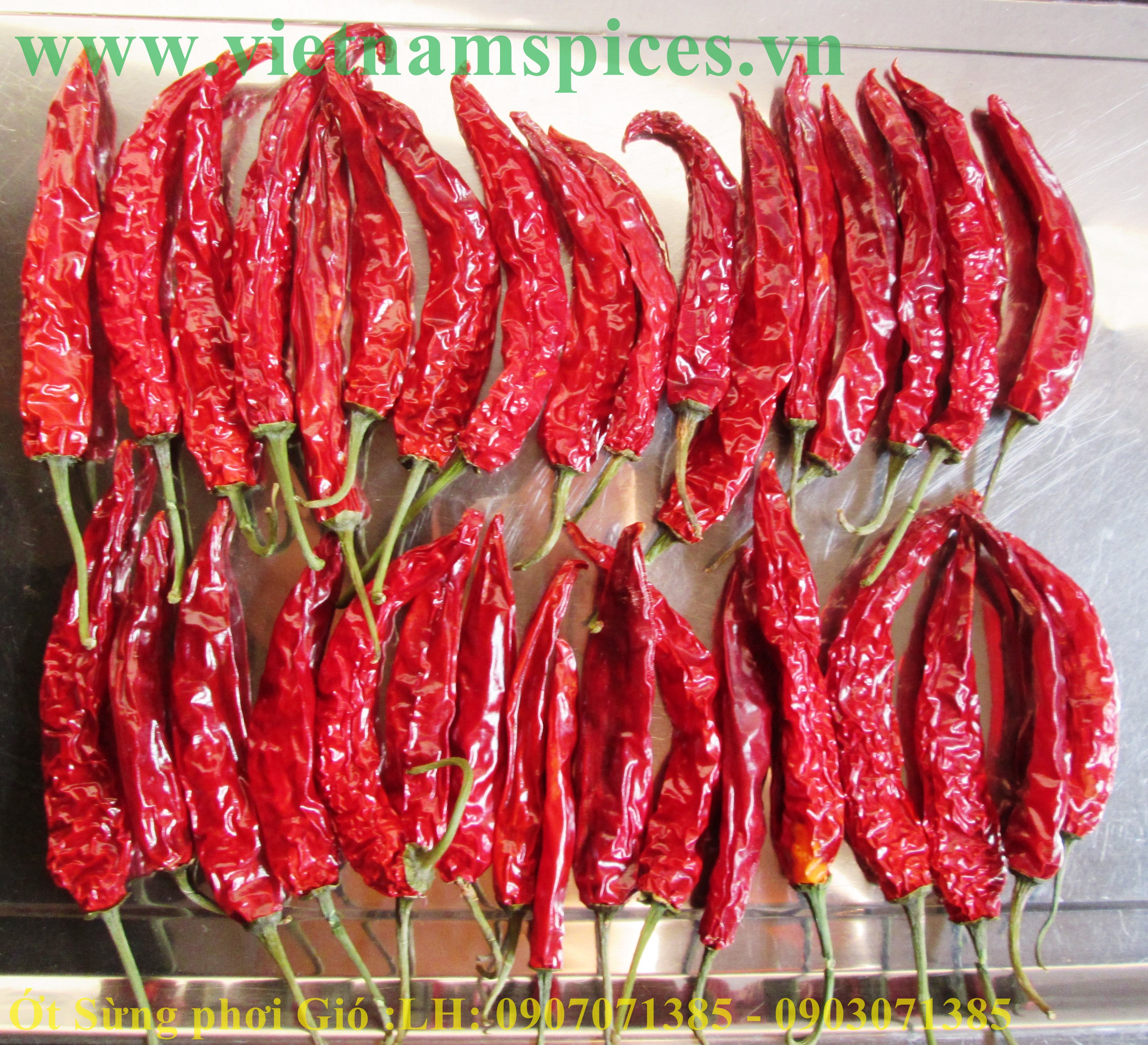 Ớt Sừng trái  Phơi Khô Cao Cấp 100gram
