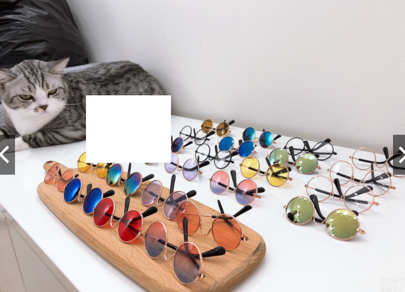 Mắt kính dành cho chó mèo nhỏ cực cool