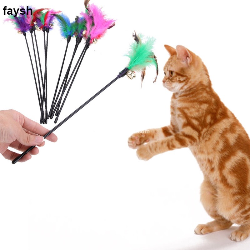 ĐỒ CHƠI CHO MÈO-CẦN CÂU MÈO