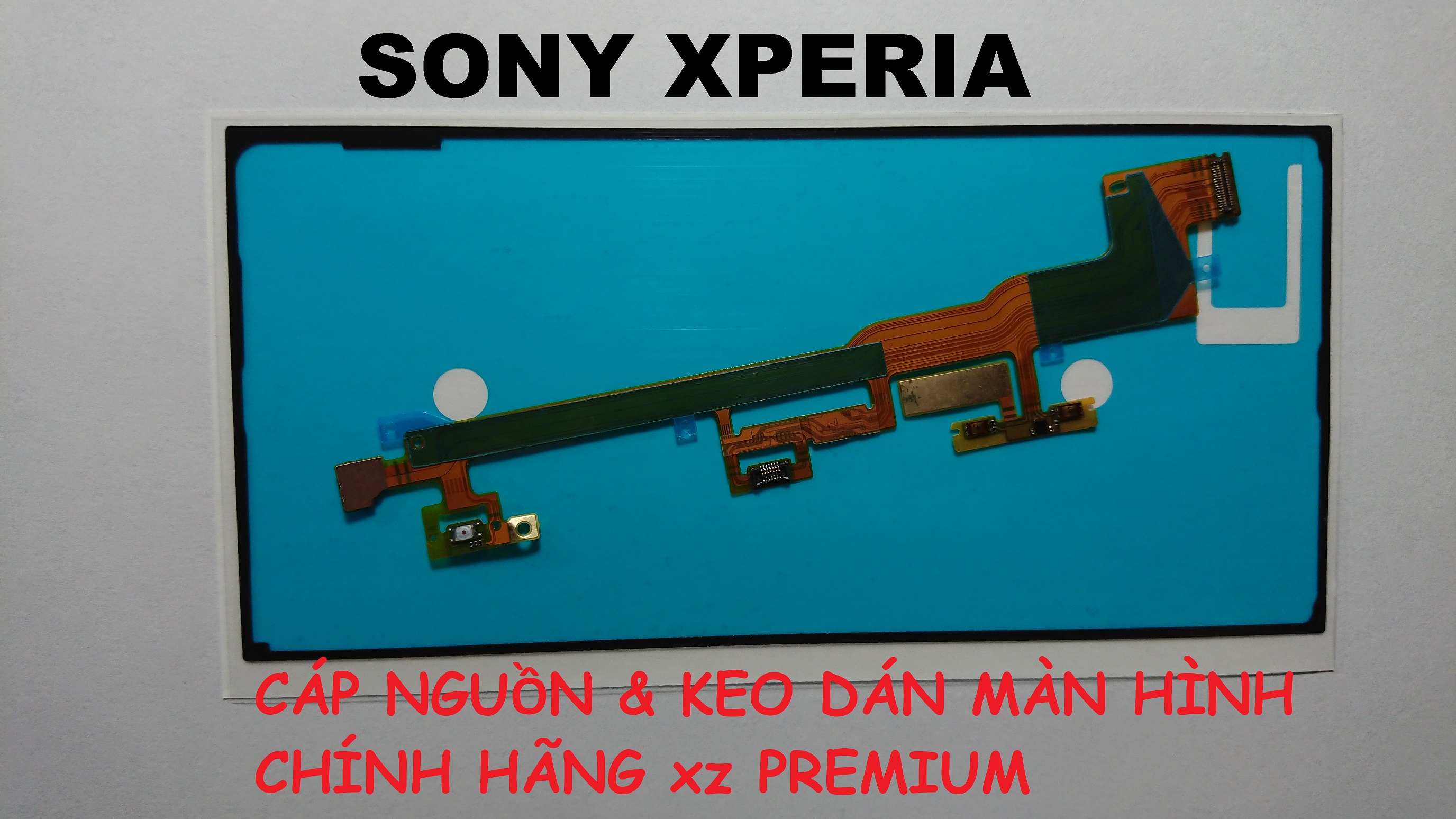 [HCM]CÁP NGUỒN -KEY FPC XZ PREMIUM G8142