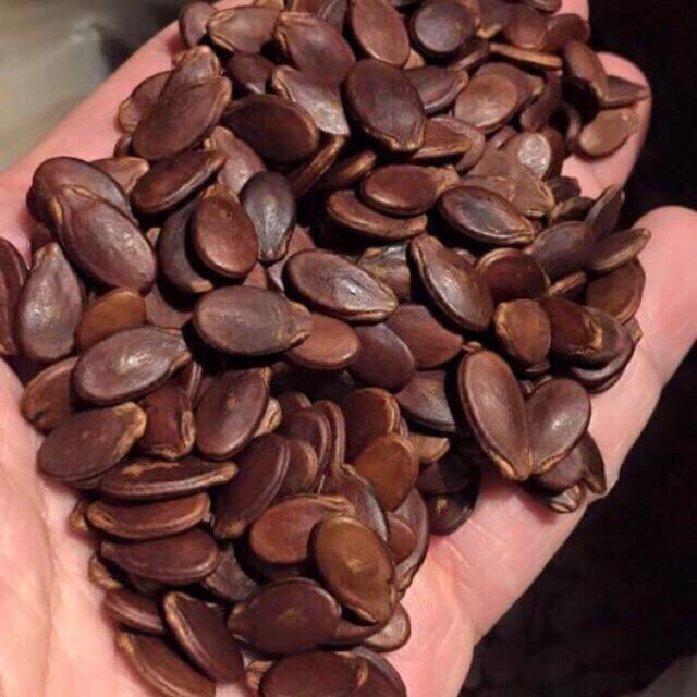 [HCM]Hạt Dưa Không Màu 80K/Gói500Gram ( Hạt Nhỏ ) (Nữa Kg)