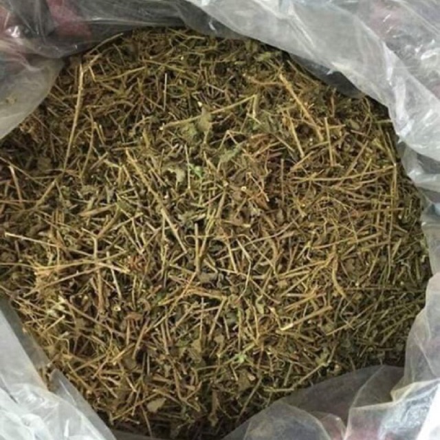 Cà Gai Leo Khô 1kg