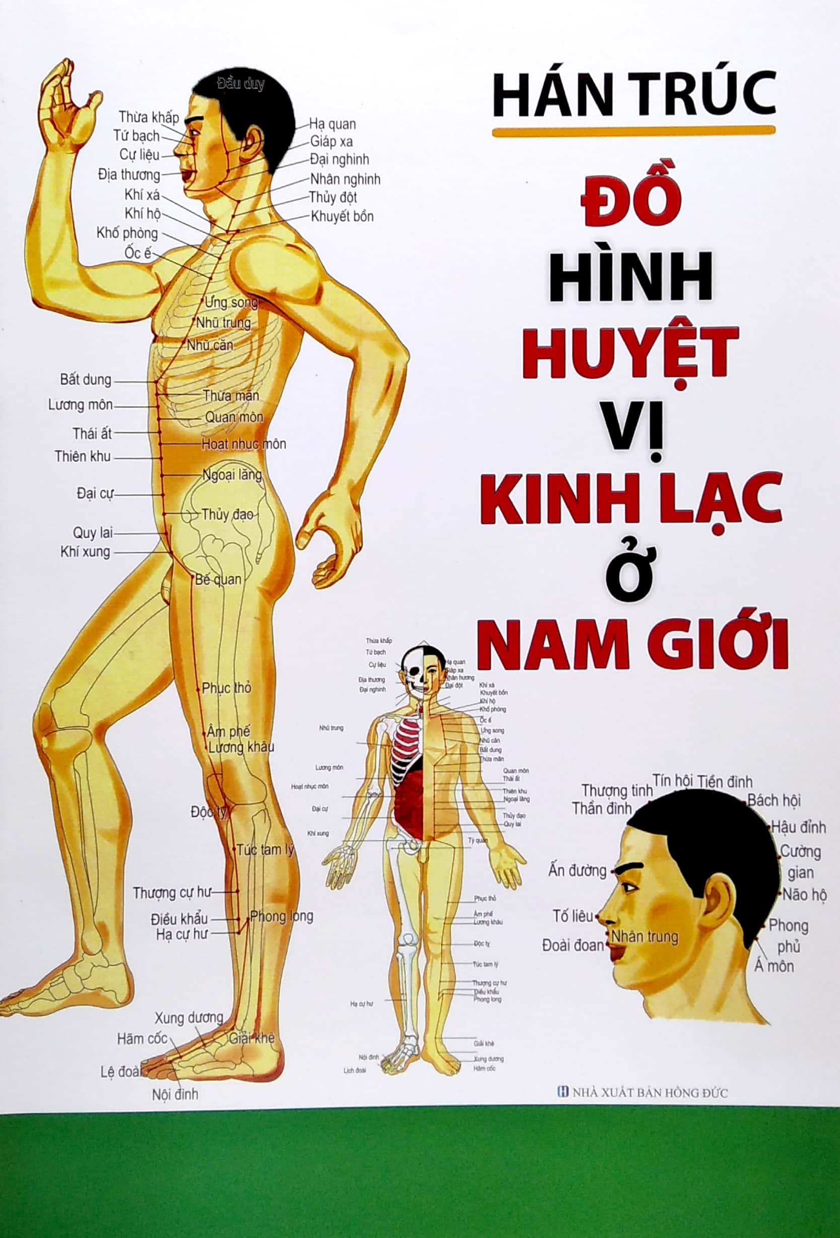 Sách đồ hình huyệt vị kinh lạc ở nam giới - ml