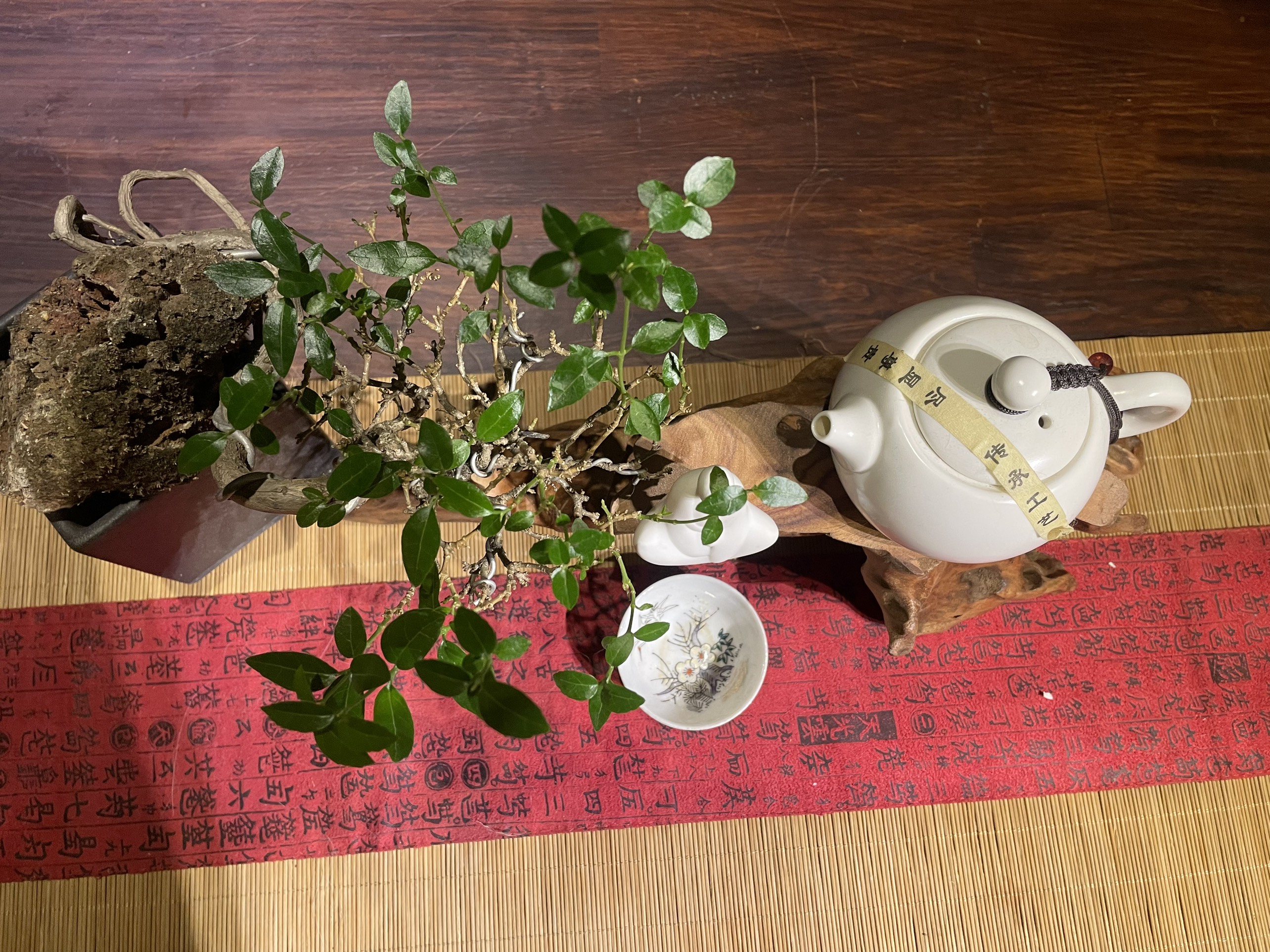 Đôn Gỗ Tự Nhiên| Kê tượng, bonsai, bàn trà