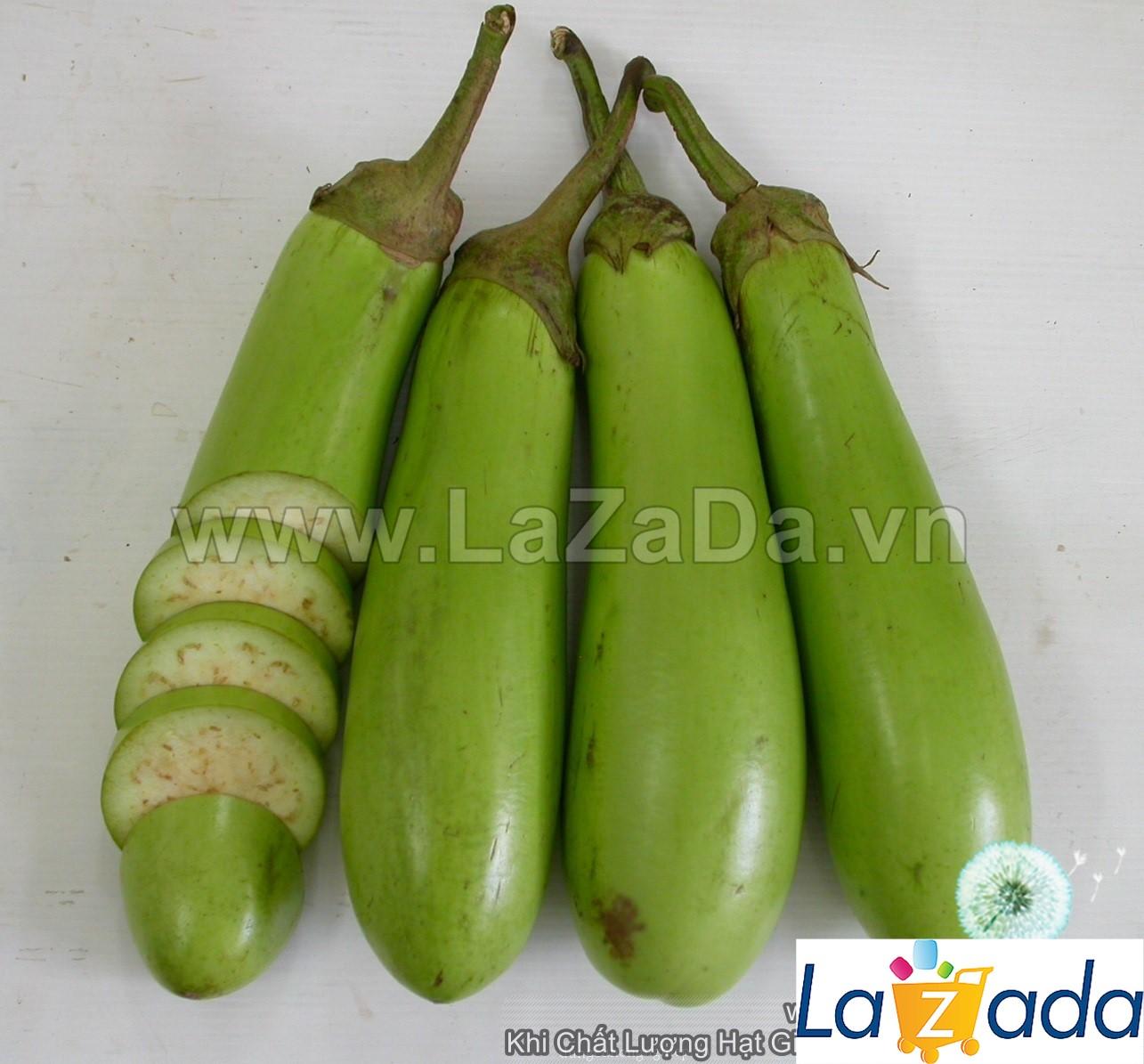 0.5Gr Hạt Giống Cà Xanh Mỡ Dài (B1.102| B28*X44*M214)