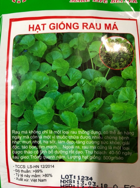 HẠT GIỐNG RAU MÁ