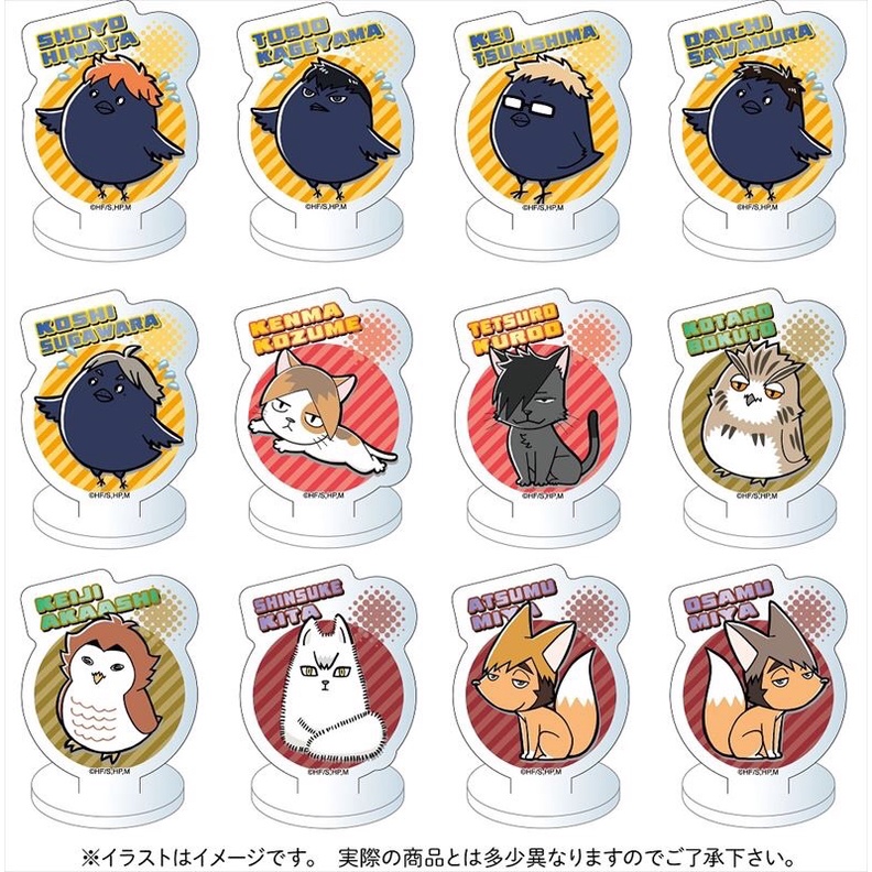Pack random mini standee Haikyuu !!