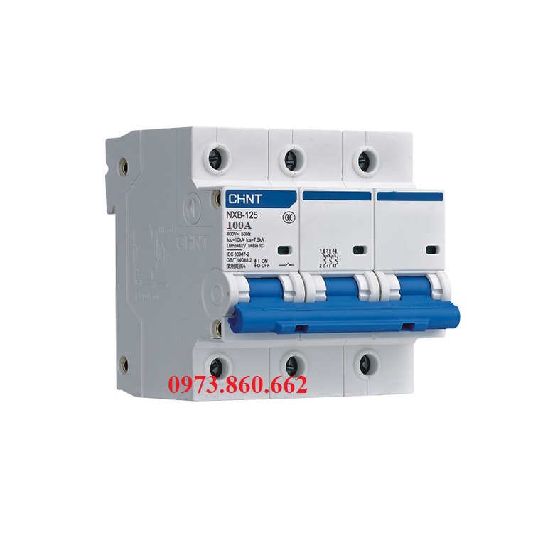 Aptomat chint nxb-125 mcb 2p 3p 4p 100a 10ka - át gài thanh ray tải lớn
