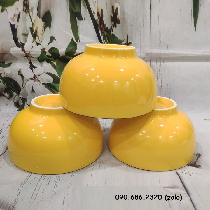 [HCM]tô sứ đẹp - tô sứ đẹp